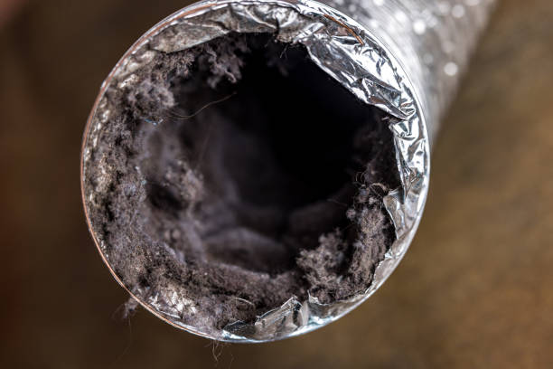Best Air Duct Cleaning Company Near Me  in Mount Pleasant, NC